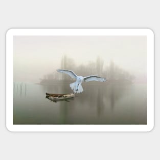 Snowy Owl at Dawn Sticker